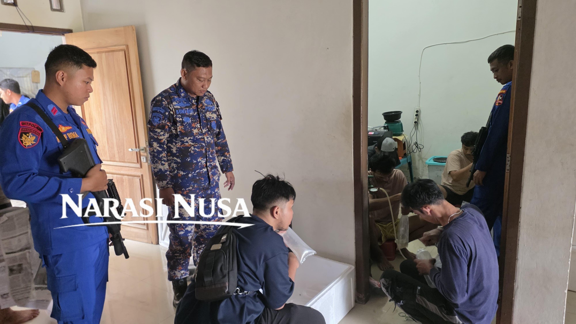 Polri Bongkar Penyelundupan 47 Ribu Benih Lobster di Serang, Negara Selamatkan Rp705 Juta